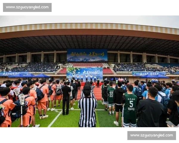 激情四溢赛场瞬间观众欢呼声与运动员拼搏精神交织